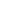 Ícone Instagram