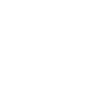 Ícone Twitter